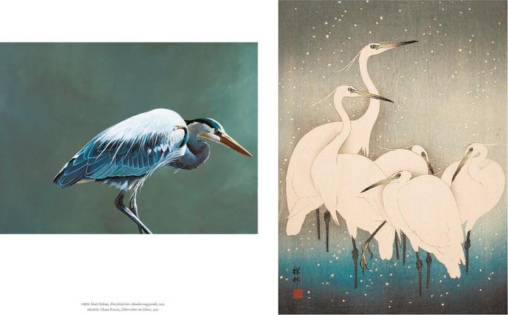 Image du produit Vögel in der Kunst (Allemand, Kendra Wilson, 2020)