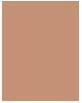 Produktbild Dior Forever Natural Bronze (04 Tan Bronze, Bronzer, 9 g)