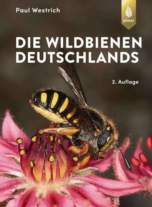 Immagine prodotto Die Wildbienen Deutschlands (Tedesco, Paul Westrich, 2019)