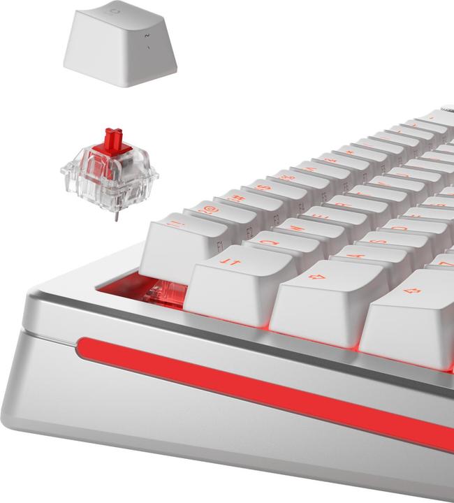 Produktbild Glorious Mechanical Switches (110pcs) - Fox - Lubed (Linear) 45g
