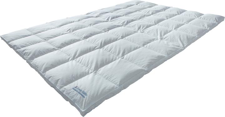 Actual product image Erwin Müller Copenhagen (1216 g, 200x200 cm)
