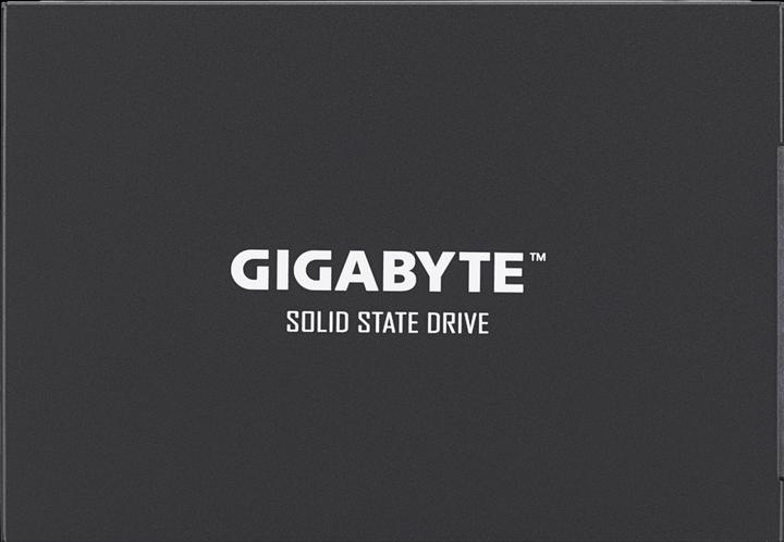 Image du produit Gigabyte GP-GSTFS30256GTTD (256 Go, 2.5")