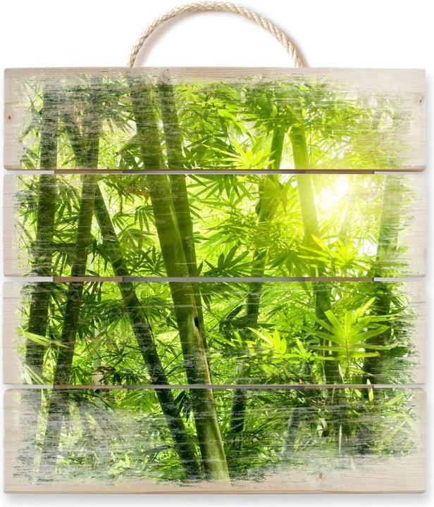 Image du produit Trenddeko Soleil dans la forêt de bambous (40 x 41,5 cm)