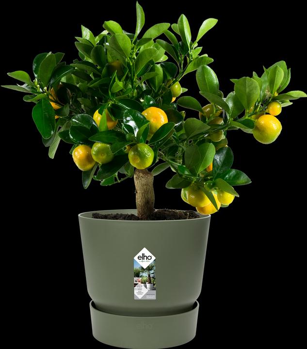 Immagine prodotto Elho vasi da fiori (29.50 cm)
