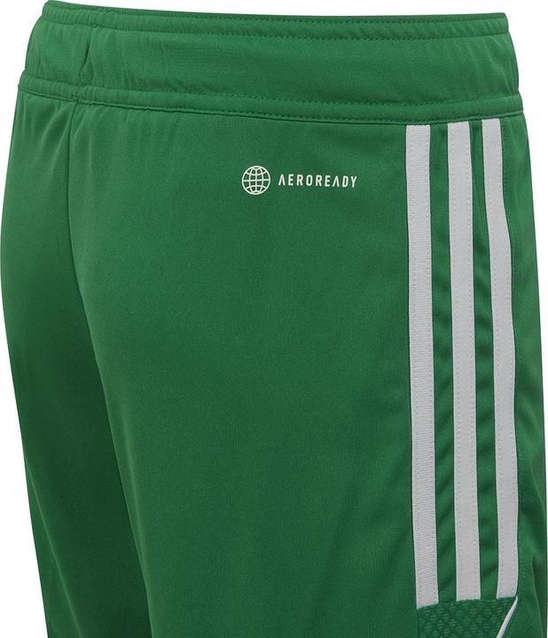 Actual product image adidas Tiro 23 training shorts kids (176)