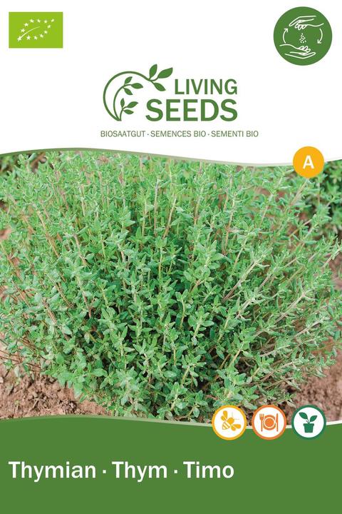 Living Seeds Thymian (Keimlinge)