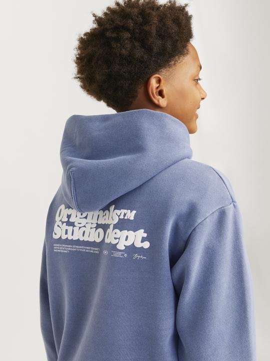 Actual product image Jack & Jones JORVERMONT hooded jumper (176)