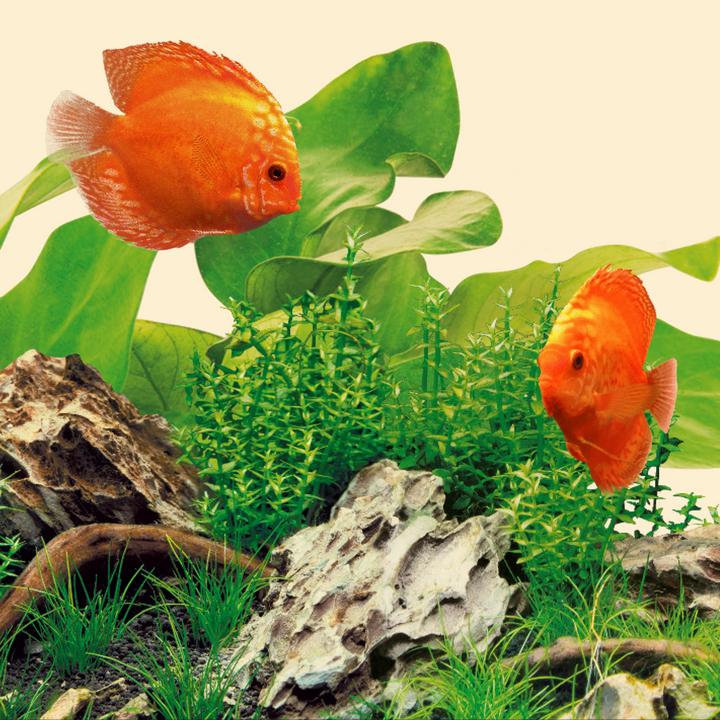 Image du produit Juwel Aquarium LED Nature (LED, 23 W)