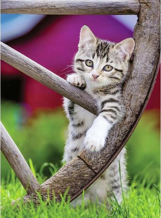 Image du produit Ravensburger Puzzle Chats 2 x 500 pièces (500 pièces)