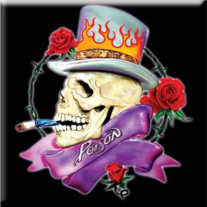 Image du produit Poison Aimant frigo tête de mort (1 x)