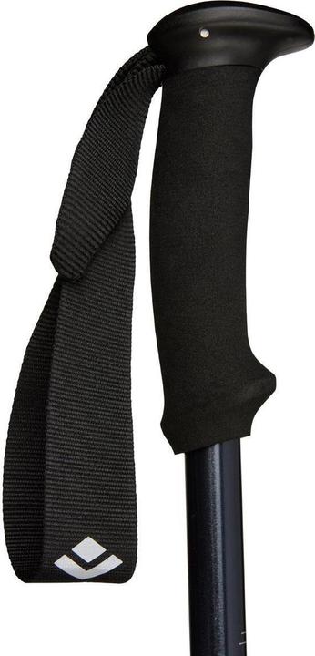 Image du produit Black Diamond Explorer 2 Trekking Poles (100 - 140 cm)