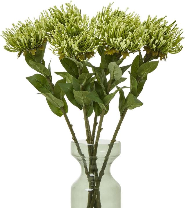 Actual product image Hill Interiors Protea Lorea Stem Artificial Plant (73 cm)