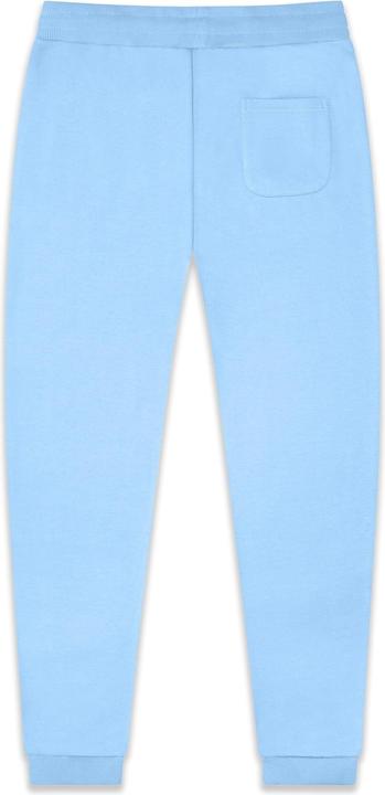 Actual product image Dropsize Super Heavy Blank Jogger - 125013 (S)