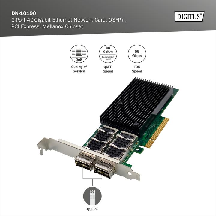 Actual product image Digitus Network Adapter Dual Port 40G QSFP (Mini PCI Express)