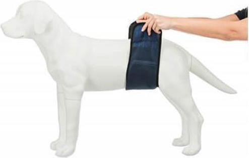 Image du produit Trixie Bandeau pour mâle M 45-55cm (M, Gilet pour chien)