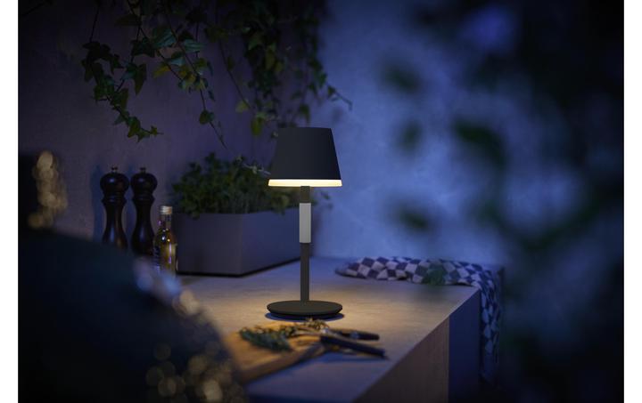 Actual product image Philips Hue Go (370 lm)
