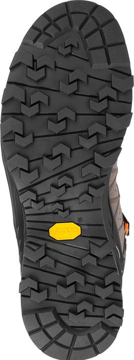 Produktbild Salewa Alp Trainer 2 Mid GTX Schuhe (43)