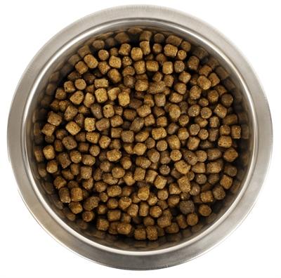 Actual product image Yourdog Dwerg- Of Toypoedel Pup (Junior, 3050 g)