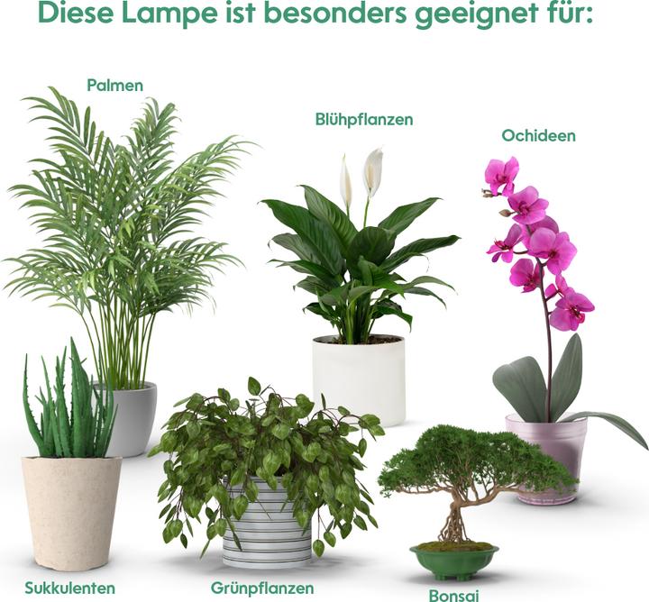 Produktbild Venso Grow Light Standard (LED, 245 V)