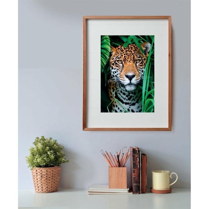 Produktbild Clementoni Jaguar in the Jungle (500 Teile)