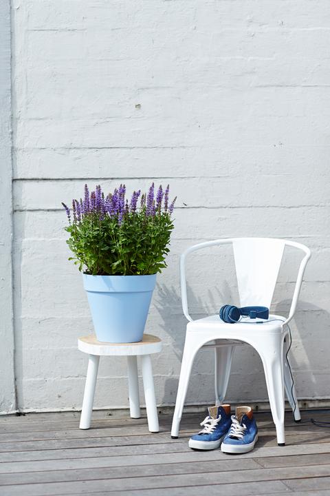 Produktbild Elho Loft Urban (50 cm)