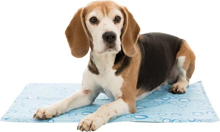 Immagine prodotto Trixie Tappeto di raffreddamento (Cane)