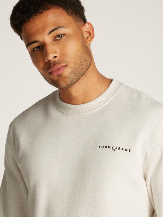 Actual product image Tommy Jeans Tjm Reg Linear Crew Ext (M)
