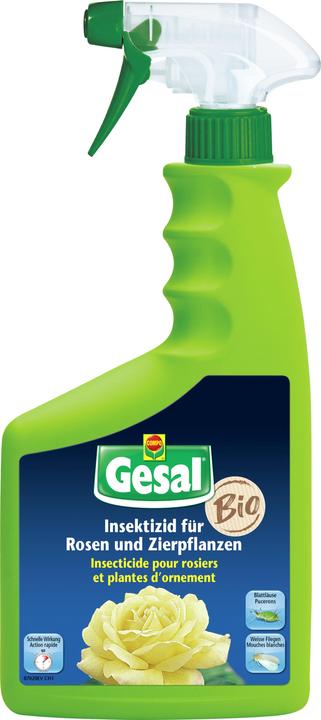 Gesal Insektizid für Rosen und Zierpflanzen (Blattläuse, Weissen Fliegen, Schildläuse, Spinnmilben, Thripse)