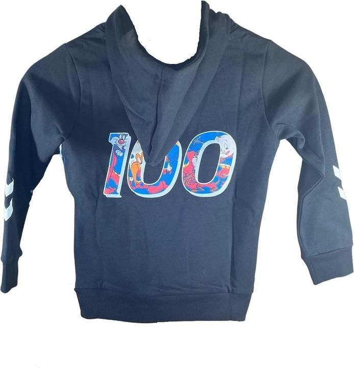 Actual product image hummel Hmlcelebrating Story Hoodie (134)