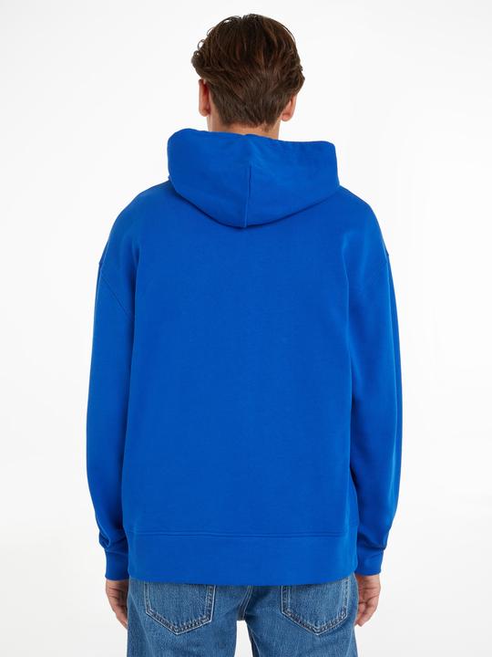 Actual product image Tommy Hilfiger Tjm Rlx Badge Zipthru (52)