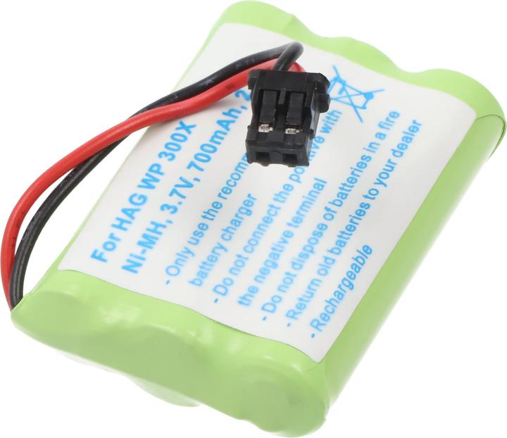 Immagine prodotto hagenuk Batteria WP 300X Batteria BT-589