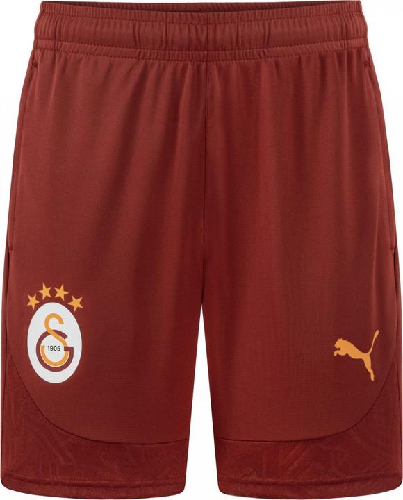 Actual product image Puma GSK Training Shorts (XS)