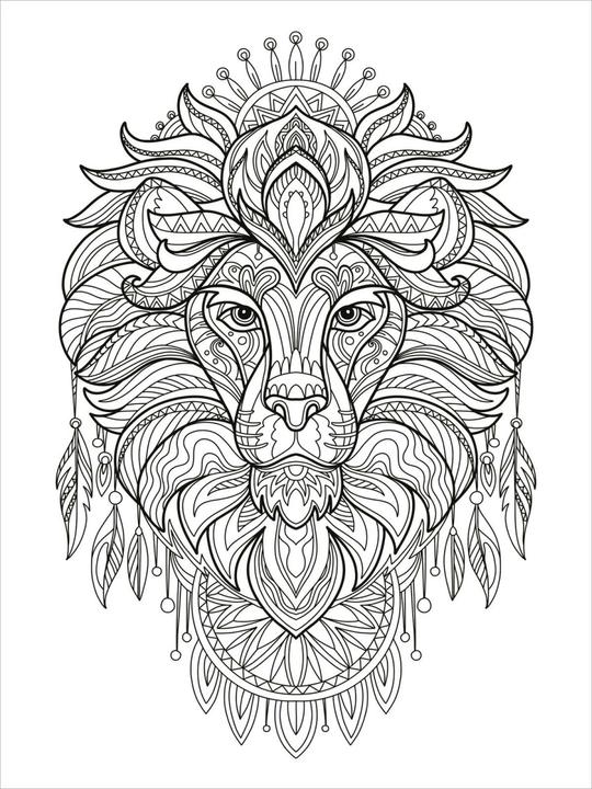 Produktbild Mein Mandala-Tier-Malbuch