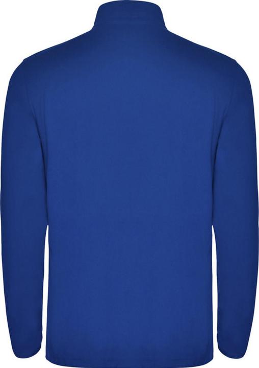 Actual product image Alpinia Mens Himalaya Quarter Zip Fleece Jacket (L)