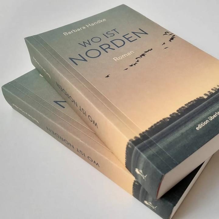 Actual product image Wo ist Norden (German, Barbara Handke, 2020)