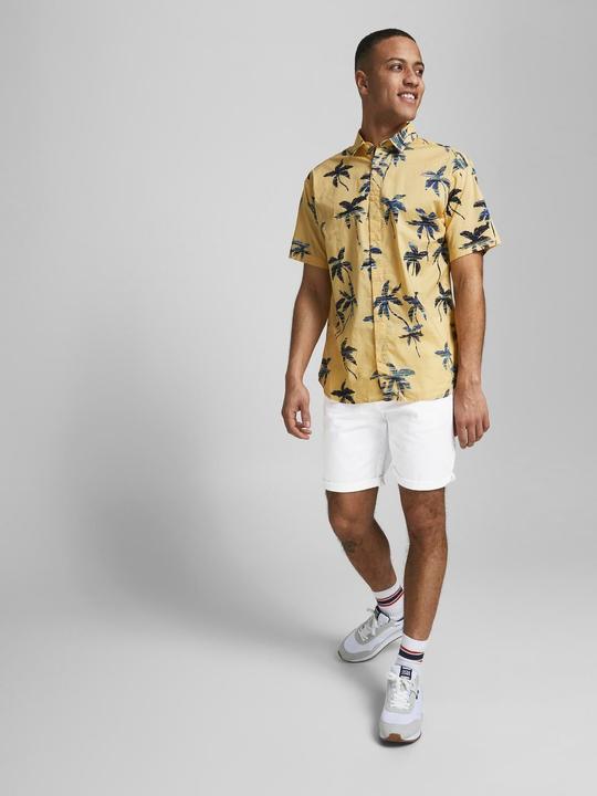 Actual product image Jack & Jones Bowie (XS)