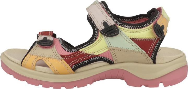 Ecco Offroad - 64791