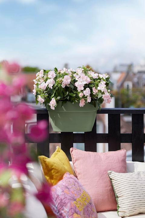 Image du produit Elho Vibia Campana Flower Bridge (26 cm)