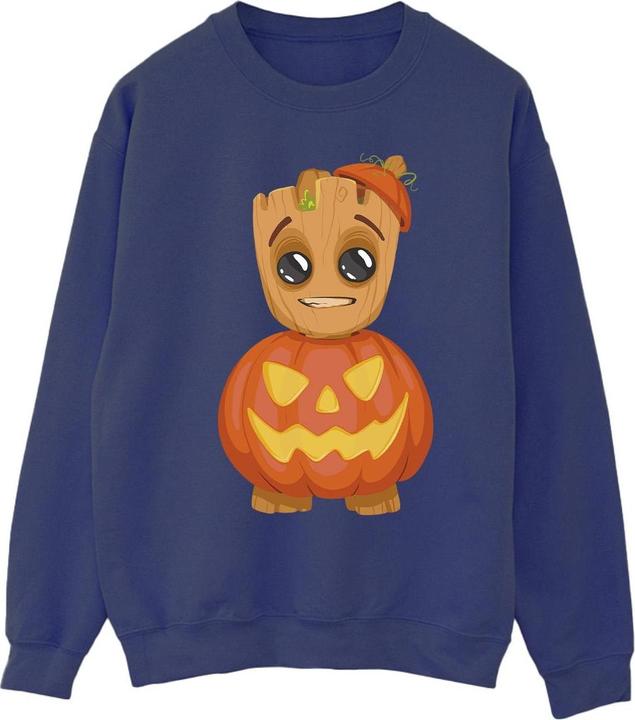 Actual product image Mens Groot Pumpkin Sweatshirt (4XL)