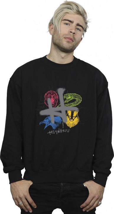 Image du produit - Sweat EMBLEMS H SPRAY - Homme (3XL)