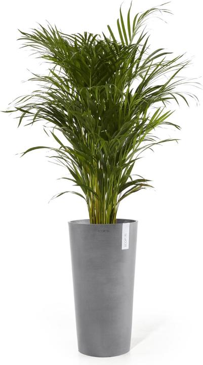 Produktbild Ecopots Amsterdam halbhoch (66 cm)