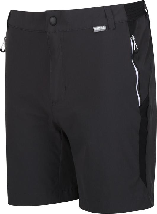 Actual product image Regatta Mens Mountain II Shorts (44 D)