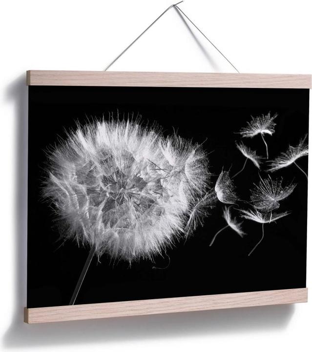 Produktbild Trenddeko Poster Pusteblume 100 x 80 cm, Papier (100 x 80 cm)