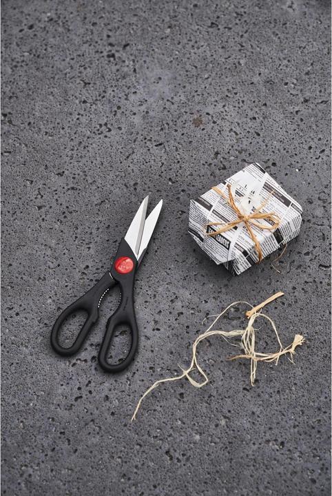 Actual product image Zwilling Multipurpose scissors Twin (20 cm)