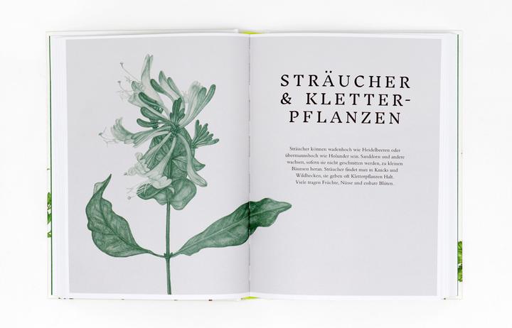 Produktbild Essbare Wildpflanzen (Deutsch, Liz Knight, Wiebke Krabbe, Rachel Pedder-Smith, 2021)