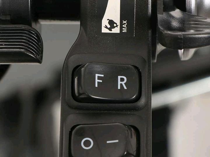Actual product image Blackstone WB4D AkkuSchubkarre mit Rädern 24V12Ah Akku