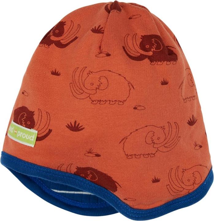 Immagine prodotto loud + proud Stampa berretto reversibile (62/68)