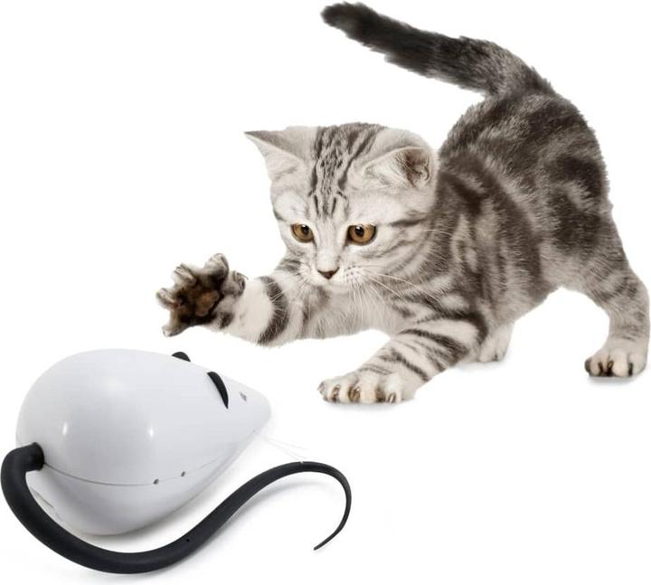 Produktbild PetSafe RoloRat Automatisches Katzenspielzeug (Katzenminzespielzeug)