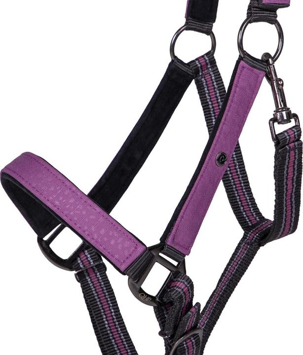 Actual product image Qhp halter and lead rope set for horse