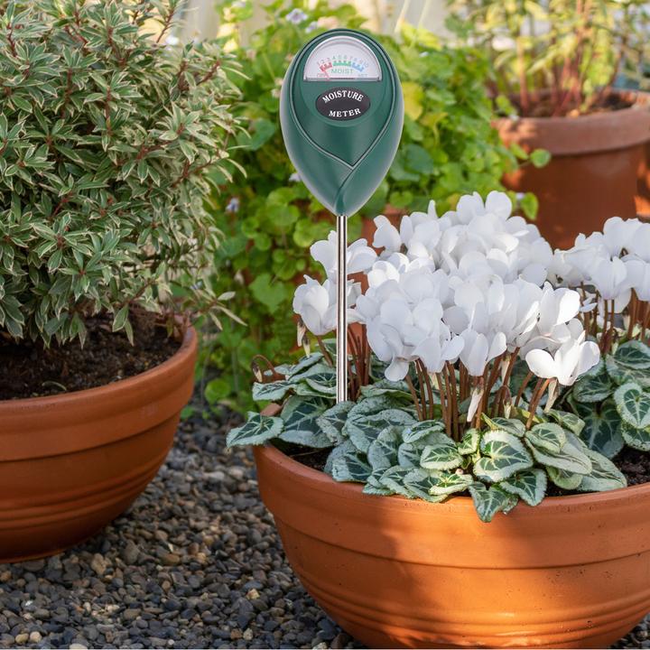 Image du produit Casativo Humidimètre